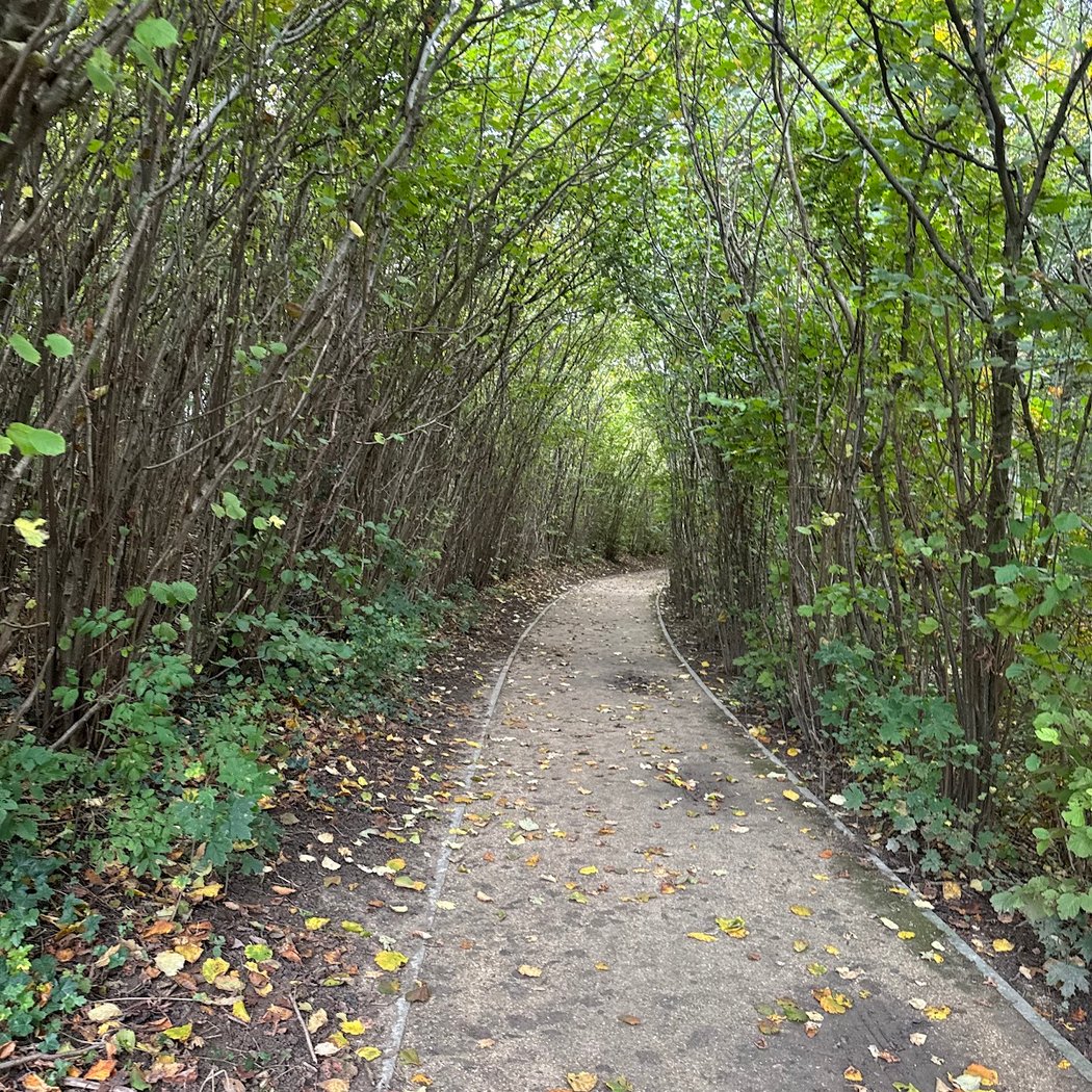 Silence Garden 2